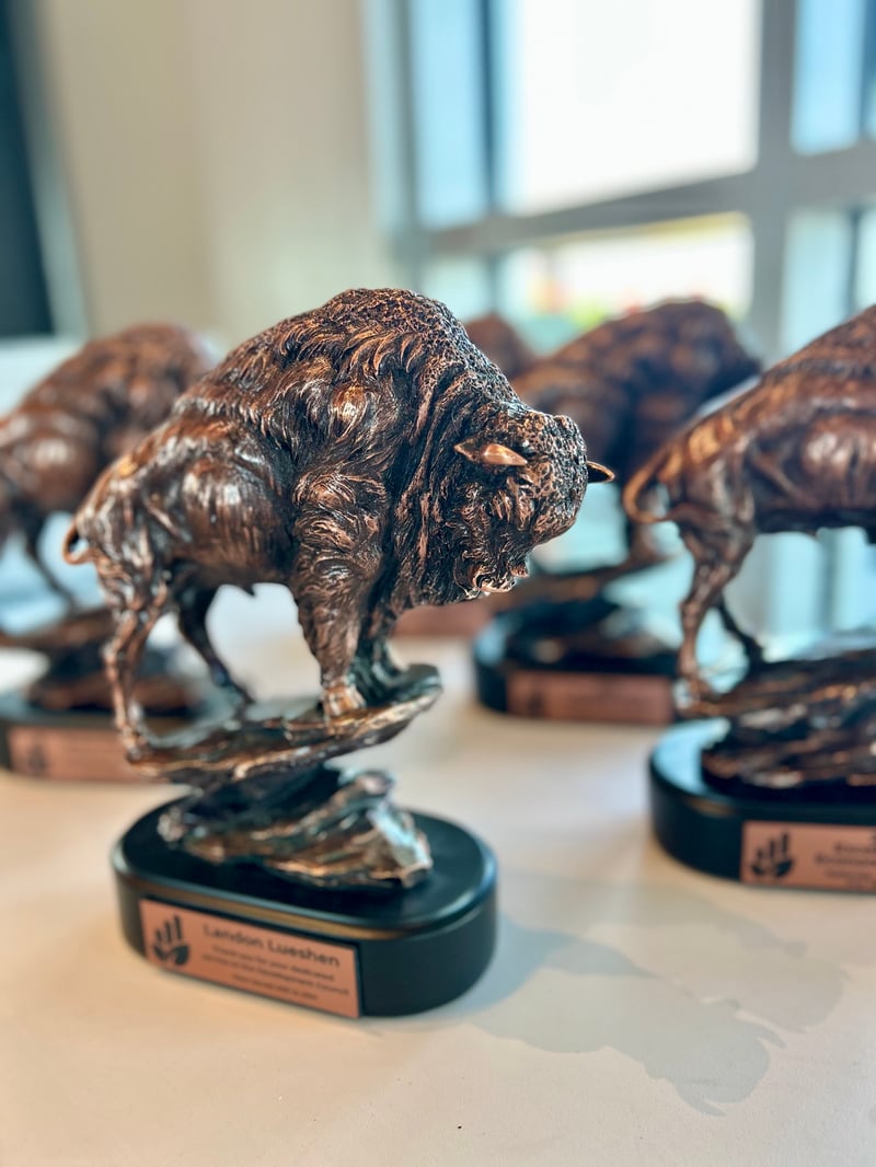 Buffaloes